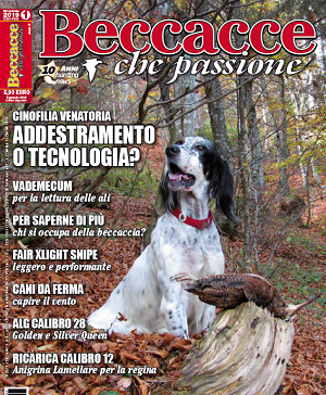 Beccacce che passione n.1 Gennaio-Febbraio 2019 Copertina gennaio/febbraio 2019