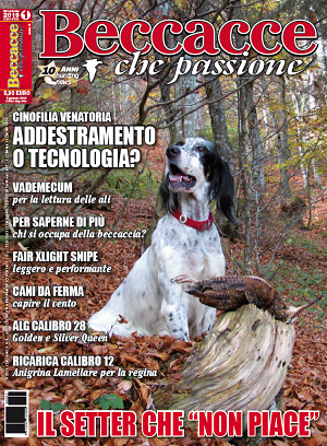 Beccacce che passione n.1 Gennaio-Febbraio 2019 Copertina gennaio/febbraio 2019