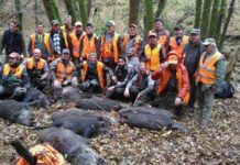 Caccia in braccata: la Squadrina di Monticiano La Squadrina di Monticiano