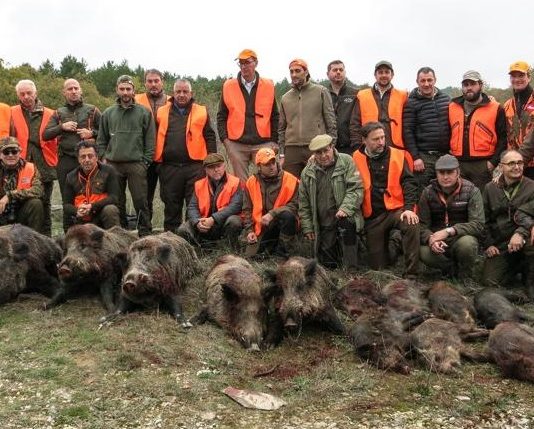 La caccia al cinghiale secondo Leica Caccia al cinghiale
