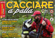 Cacciare a Palla febbraio 2019 in edicola Cacciare-a-Palla-febbraio-2019
