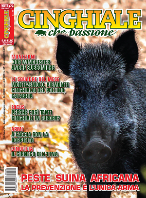 Cinghiale che passione n.2 Febbraio-Marzo 2019 Cinghiale Che Passione febbraio -marzo 2019