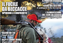 Beccacce che Passione 2 marzo-aprile 2019, in edicola Beccacce che Passione 2 marzo - aprile 2019