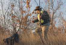 Calendari venatori, respinto emendamento su parere vincolante Ispra cane e cacciatore con abbigliamento alta visibilità e fucile nella mano sinistra: calendari venatori, niente parere vincolante ispra