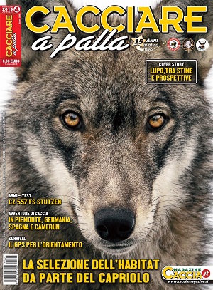Cacciare a palla n.4 Aprile 2019 Cacciare a Palla aprile 2019