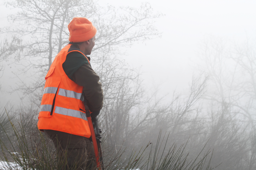sicurezza a caccia, cacciatore con veste alta visibilità sicurezza a caccia, cacciatore con veste alta visibilità