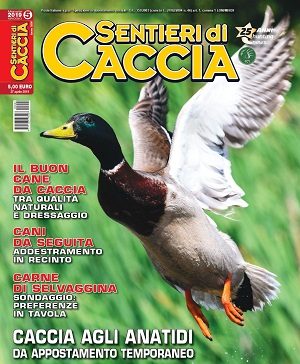 Sentieri di Caccia n. 5 maggio 2019 Sentieri di Caccia maggio 2019