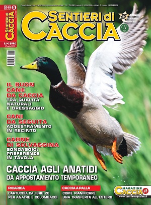 Sentieri di Caccia n. 5 maggio 2019 Sentieri di Caccia maggio 2019