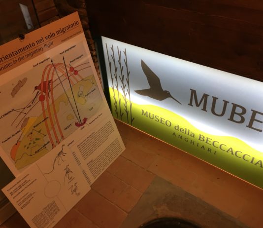 Apre il MuBec, il primo museo dedicato alla beccaccia MuBec