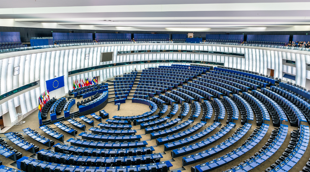 elezioni europee 2019 elezioni europee 2019. aula di strasburgo