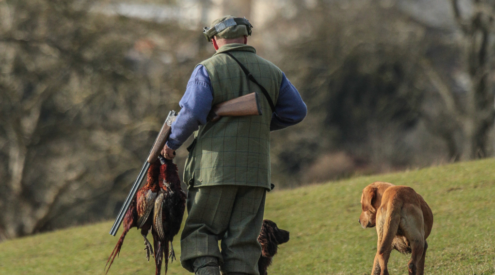 requisiti per guardia volontaria firenze requisiti per guardia volontaria firenze: cacciatore di spalle con fucile e due fagiani, cane alla sua destra