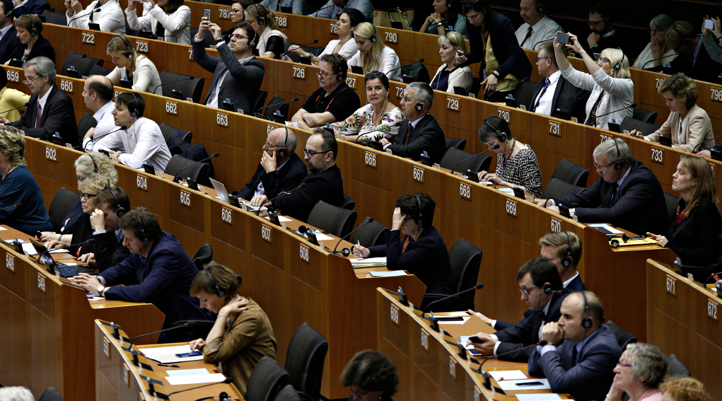 parlamento europeo interrogazione sui reati degli attivisti per i diritti degli animali parlamento europeo interrogazione sui reati degli attivisti per i diritti degli animali