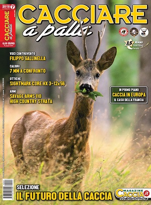 Cacciare a Palla n. 7 luglio 2019 Cacciare a Palla luglio 2019