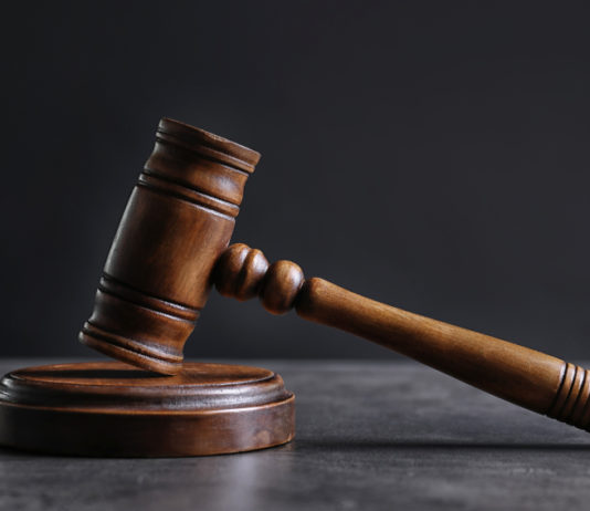 Diffamò morto a caccia, la sentenza della Cassazione diffamò morto a caccia, la sentenza della Cassazione: martello del giudice