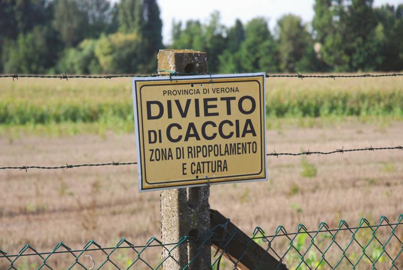 ripopolamento fauna selvatica ripopolamento fauna selvatica