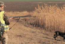 Game Fair: Buconi e Sorrenti rispondono alle domande dei cacciatori Game Fair: cacciatore con cane