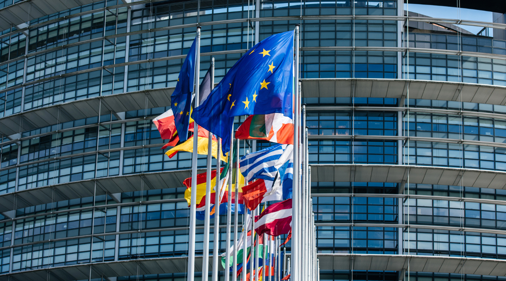 Nuovo parlamento europeo verso la ricostituzione dell’intergruppo sulla caccia bandiere dei Paesi membri davanti al nuovo parlamento europeo
