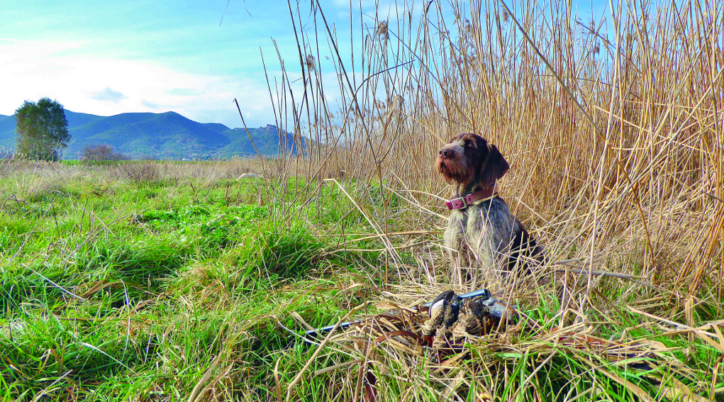 sentieri di caccia ottobre 2019 sentieri di caccia ottobre 2019