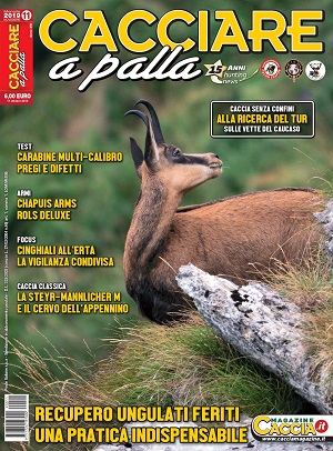 Cacciare a Palla n. 11 novembre 2019 Cacciare a Palla novembre 2019