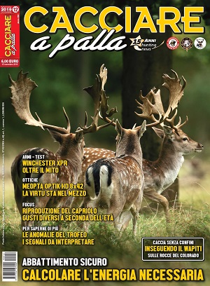 Cacciare a Palla n. 12 dicembre 2019 Cacciare a Palla dicembre 2019