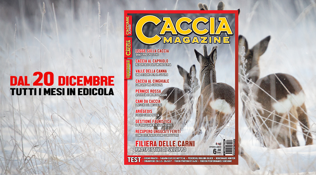 Caccia-Magazine