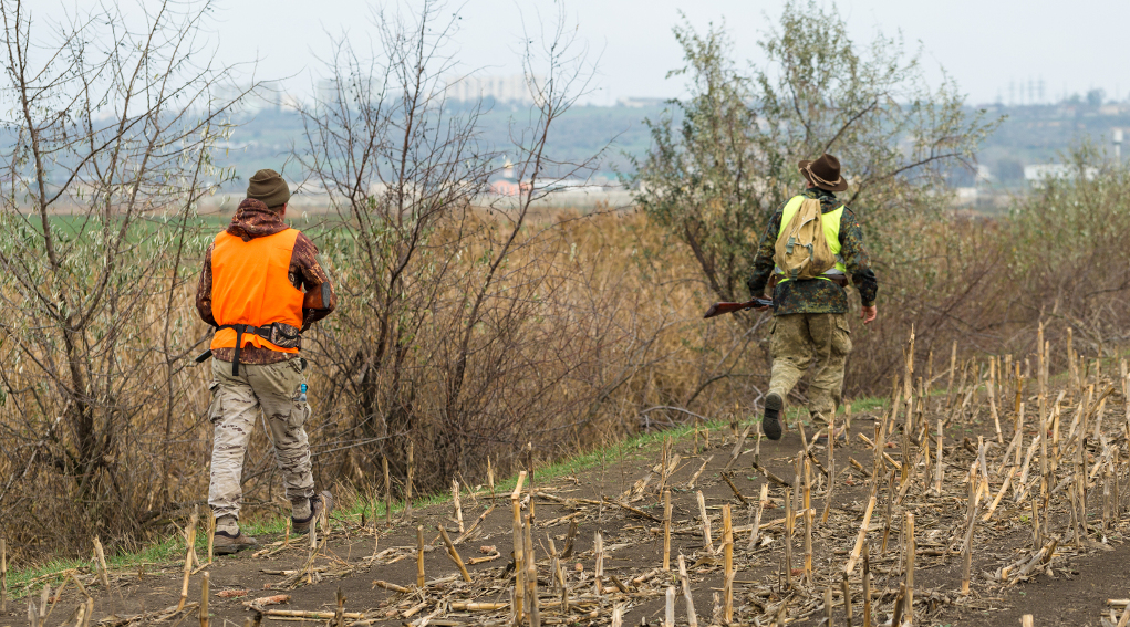 Interscambio di cacciatori tra Veneto e Toscana, la proposta di Arcicaccia Interscambio di cacciatori tra Veneto e Toscana: due cacciatori in abbigliamento alta visibilità, di spalle
