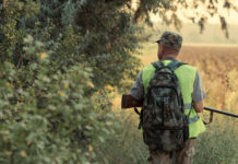 Costituita la cabina di regia delle associazioni venatorie toscane associazioni venatorie toscane: cacciatore con gilet alta visibilità di spalle