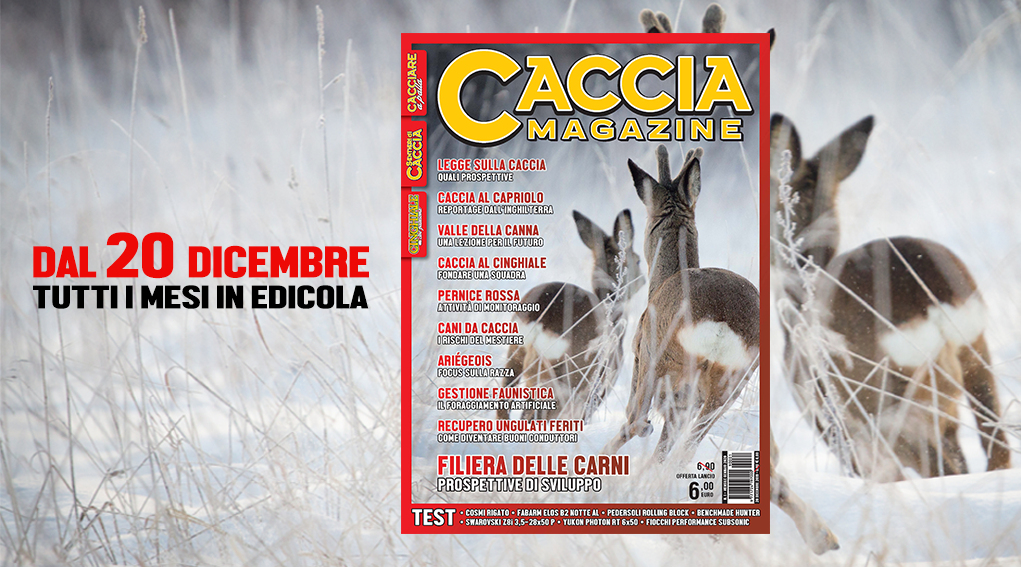 primo numero di caccia magazine gennaio 2020 primo numero di caccia magazine gennaio 2020