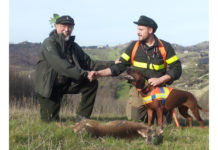 Corso per conduttori di cani da traccia: aperte le preiscrizioni Corso per conduttori di cani da traccia: Il recuperatore Nicolò Soldati con Morgana dell'Artemide Serena dopo il recupero del capriolo classe 0 ferito alla zampa posteriore destra