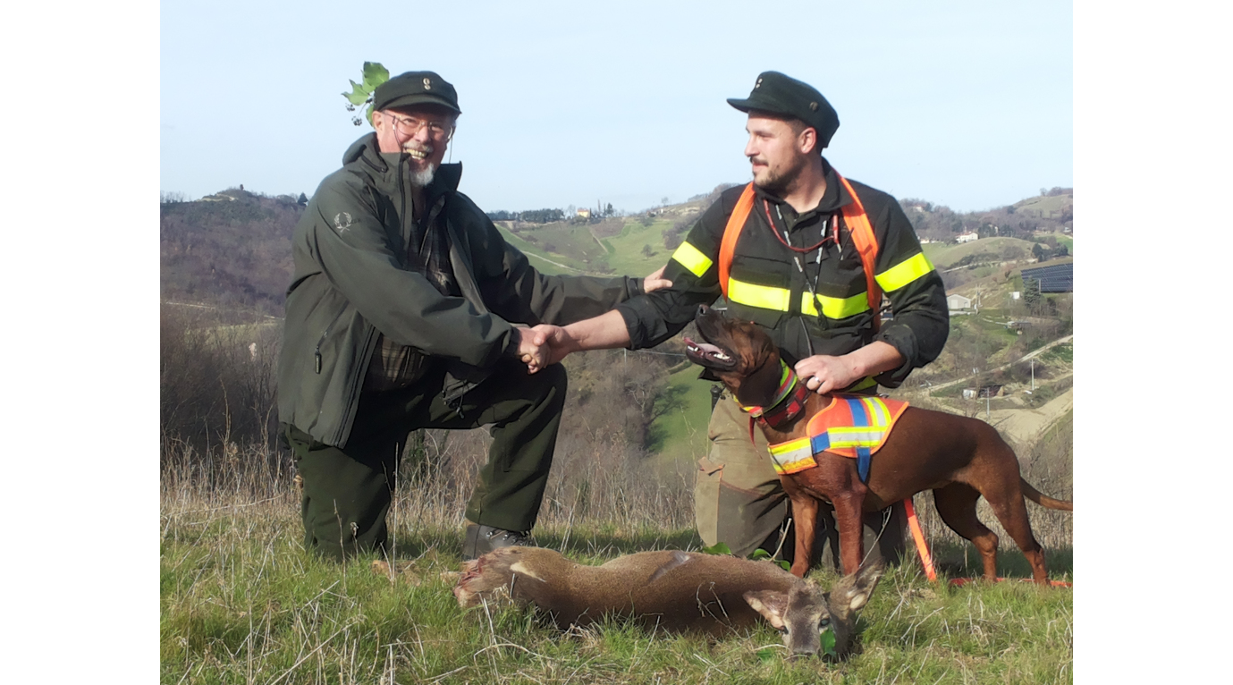 Corso per conduttori di cani da traccia aperte le preiscrizioni Corso per conduttori di cani da traccia: Il recuperatore Nicolò Soldati con Morgana dell'Artemide Serena dopo il recupero del capriolo classe 0 ferito alla zampa posteriore destra