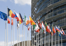 Europarlamento, Sergio Berlato sulle munizioni in piombo: “No a proposte ideologiche” Europarlamento, Sergio Berlato sulle munizioni in piombo: bandiere fuori dal parlamento europeo