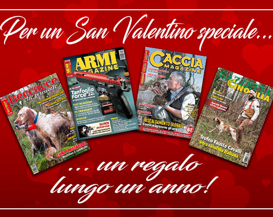 Un regalo lungo un anno per festeggiare San Valentino