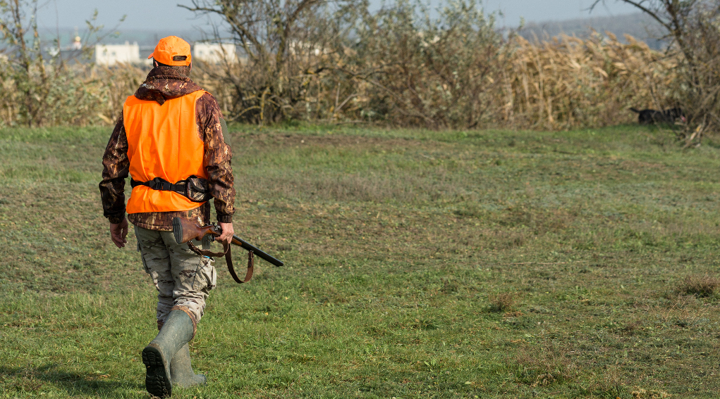 Atc in Puglia da associazioni venatorie proposta unitaria Atc in Puglia da associazioni venatorie proposta unitaria: cacciatore di spalle nel bosco