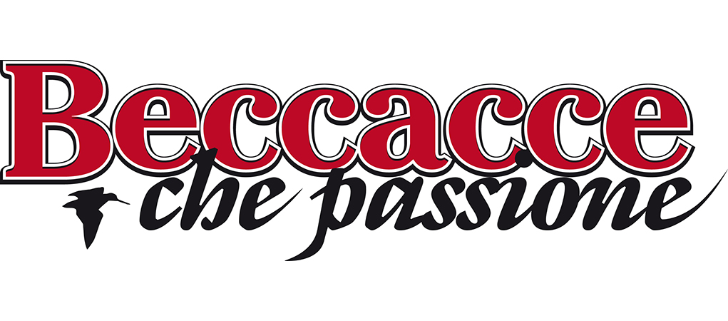 Testata Beccacce 2