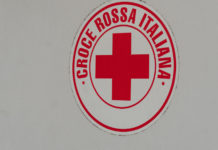 Enalcaccia interviene nella lotta contro il coronavirus covid-19 enalcaccia: simbolo croce rossa italiana