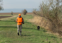 Scadenze per la caccia in Toscana: la richiesta della CCT Scadenze per la caccia in Toscana: cacciatore in alta visibilità di spalle a fianco di cane da caccia