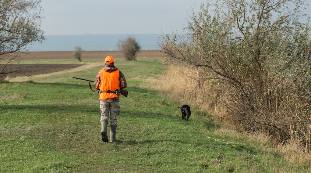 Scadenze per la caccia in Toscana la richiesta della CCT Scadenze per la caccia in Toscana: cacciatore in alta visibilità di spalle a fianco di cane da caccia