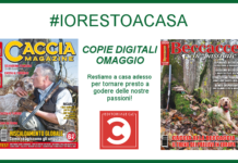 Manteniamo viva la nostra passione