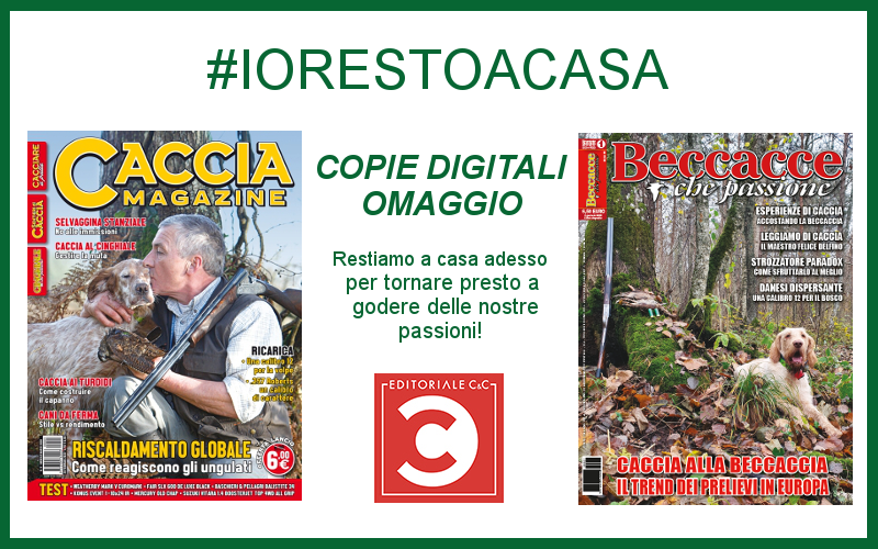iorestoacasa
