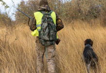 Caccia durante la fase 2: la proposta della Cct Caccia durante la fase 2: cacciatore di spalle in alta visibilità, cane da caccia al suo fianco