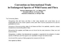 Licenza Cites per il commercio internazionale di flora e fauna selvatica: la Guardia di Finanza sulla proroga Licenza Cites per il commercio internazionale di flora e fauna selvatica la Guardia di Finanza sulla proroga