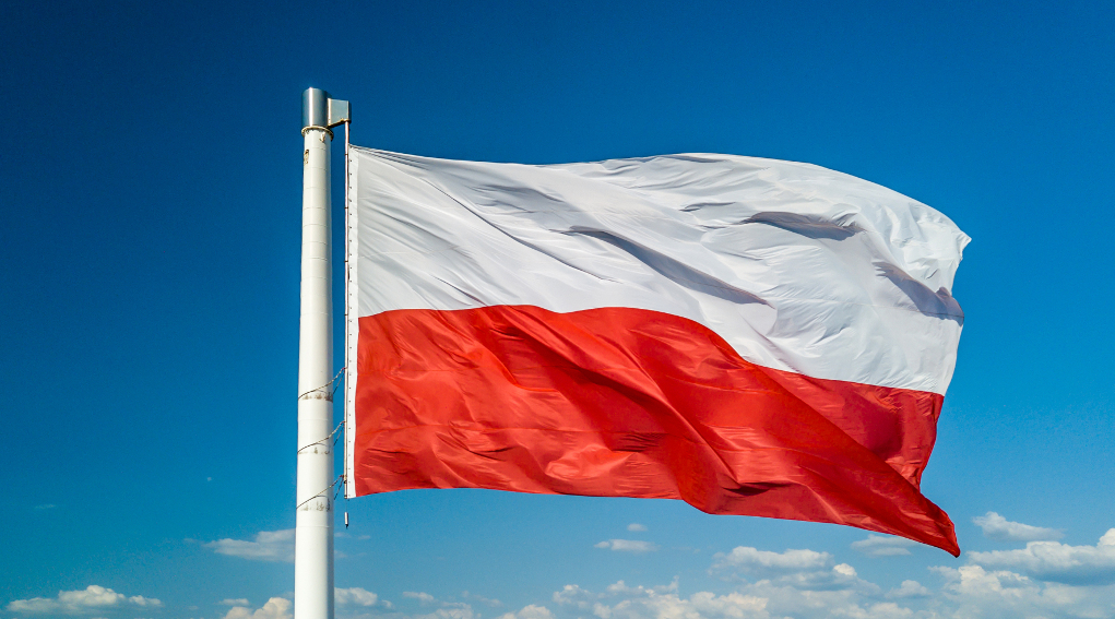 Minorenni a caccia l’iniziativa della Polonia Minorenni a caccia in Polonia: bandiera della Polonia sventola con sfondo di cielo nuvoloso