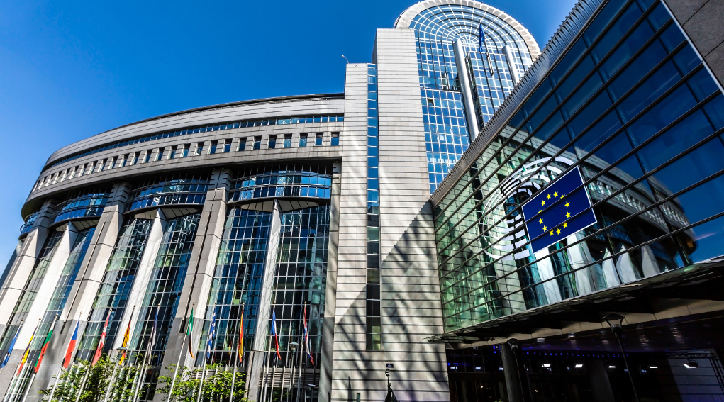 Stretta sul consumo di selvaggina parlamento europeo dice no consumo di selvaggina in Europa: parlamento europeo, sede di Bruxelles
