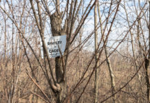 Caccia in una zona protetta non tabellata: la sentenza della Cassazione Caccia in una zona protetta non tabellata: cartello divieto di caccia