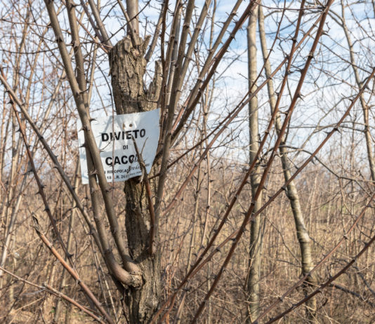 Caccia in una zona protetta non tabellata: la sentenza della Cassazione Caccia in una zona protetta non tabellata: cartello divieto di caccia