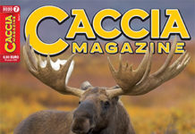Caccia Magazine n. 7 luglio 2020
