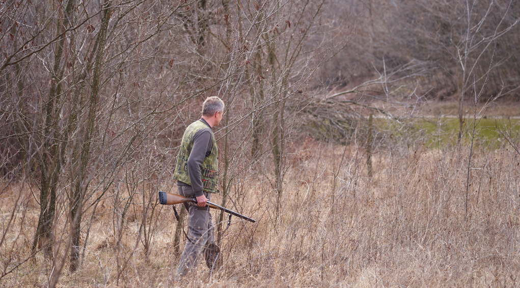 Ritiro sì o ritiro no per rinnovare il porto d’armi non ancora scaduto Risponde il Viminale rinnovare il porto d'armi non ancora scaduto: cacciatore nel bosco
