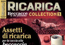 Ricarica Collection: in edicola il nuovo numero Ricarica Collection