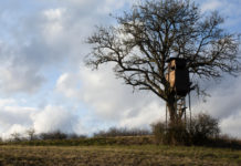 Federazione dei cacciatori del Friuli Venezia Giulia, arriva la diffida di Federcaccia Federazione dei cacciatori del Friuli Venezia Giulia: altana su un albero