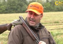 Benelli 828U calibro 20: presentazione e prova a caccia Simone Bertini descrive il fucile sovrapposto Benelli 828U calibro 20 e ne mostra l'impiego a caccia